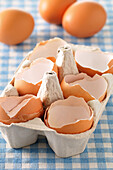 Broken Egg Shells in Carton