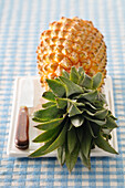 Pineapple and Knife