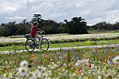 Boy Riding Bicycle,Ile de Re,France