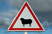 Sheep Crossing Sign,Montarnaud,Herault,Languedoc-Roussillon,France