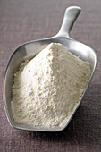 Close-up of Scoop of Flour,Studio Shot