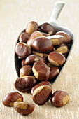 Close-up of Chestnuts Spilling from Scoop on Beige Background,Studio Shot