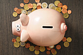 Draufsicht auf ein von Münzen umgebenes Sparschwein, Studioaufnahme