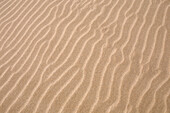 Close-up of sand on beach,Port Camargue,France