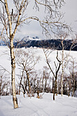 Mashu-ko-See im Winter, Akan-Nationalpark, Hokkaido, Japan