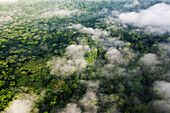 Luftaufnahme des Regenwaldes, Panama