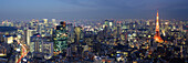 City Skyline,Tokyo,Japan