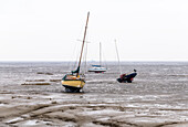 Gestrandete Boote bei Ebbe in Leigh on Sea, Essex, England, Vereinigtes Königreich, Europa