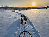 Husky-Hundeschlittenfahrt bei Sonnenuntergang auf der Finnmark-Hochebene, in der Nähe von Alta, Polarkreis, Norwegen, Skandinavien, Europa