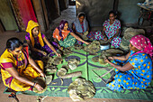 Group of Adivasi women making leaf plates in a village in Narmada district,Gujarat,India,Asia