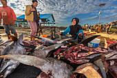 Verkäufer von frischem Fisch auf dem Fischmarkt in Sorong, der größten Stadt der indonesischen Provinz Südwest-Papua, Indonesien, Südostasien, Asien