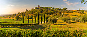 Blick auf eine kurvenreiche Straße und Zypressen, die zum Palazzo Massaini führen, in der Nähe von Pienza, Toskana, Italien, Europa