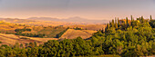 Blick auf die Landschaft im Val d' Orcia bei San Quirico d' Orcia, UNESCO-Welterbe, Provinz Siena, Toskana, Italien, Europa