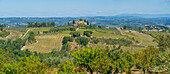 Blick auf Weinberge und Landschaft bei San Gimignano, San Gimignano, Provinz Siena, Toskana, Italien, Europa