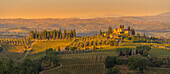 Blick auf Weinberge und Landschaft bei San Gimignano bei Sonnenuntergang, San Gimignano, Provinz Siena, Toskana, Italien, Europa