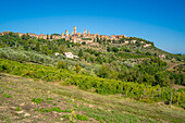 Blick auf Weinberge und San Gimignano, San Gimignano, Provinz Siena, Toskana, Italien, Europa