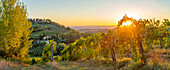 Blick auf Weinberge und Landschaft bei Sonnenaufgang in der Nähe von San Gimignano, San Gimignano, Provinz Siena, Toskana, Italien, Europa