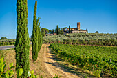 Blick auf Convento di Monte Oliveto Minore und Weinberg, San Gimignano, Provinz Siena, Toskana, Italien, Europa
