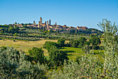 Blick auf Olivenbäume und Landschaft mit San Gimignano im Hintergrund, San Gimignano, Provinz Siena, Toskana, Italien, Europa