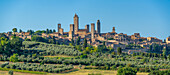 View of olive trees and landscape around San Gimignano,San Gimignano,Province of Siena,Tuscany,Italy,Europe