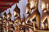 Row of golden Buddha statues,meditation,Wat Pho (Temple of the Reclining Buddha),Bangkok,Thailand,Southeast Asia,Asia