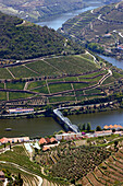 Weinberge im Douro-Tal im Herzen der Weinregion Alto Douro,Pinhao,Portugal,Europa
