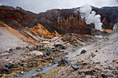 View along the Hell Valley in autumn,Noboribetsu,Hokkaido,Japan,Asia