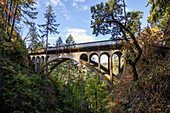 Bridge along Columbia River Highway,Oregon,United States of America,North America