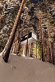 View from below of a hotel room shaped like a capsule on top of trees covered with snow,night view,Tree hotel,Harads,Lapland,Sweden,Scandinavia,Europe