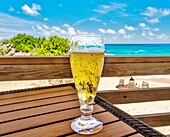 Kaltes Bier an einem heißen Tag am Strand, South Shore, Bermuda, Nordatlantik