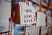 Written offering and wishes in a Shinto temple in Tokyo,Japan,Asia