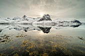 Gebirgsreflexionen im Fjord,Senja,Troms og Finnmark,Norwegen,Skandinavien,Europa