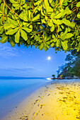 Full moon at Murex Bangka Dive Resort,Bangka Island,near Manado Sulawesi,Indonesia,Southeast Asia,Asia