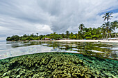 Blick von oben und unten auf das Sauwaderek Village Reef, Raja Ampat, Indonesien, Südostasien, Asien