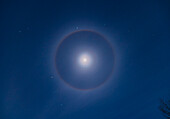 An ice crystal halo around the waxing gibbous Moon set in the winter stars of a January night. The 22° halo is most obvious and with a reddish and sharply defined inner rim and a bluish and more diffuse outer edge. But a faint 8° halo is also visible,a rare halo sometimes called the Van Buijsen Halo (according to Lynch and Livingston in their book Color and Light in Nature; Minnaert also mentions it in his seminal book The Nature of Color and Light in the Open Air). It is not a lens flare as shots taken with the Moon well off to one side of the frame still show the inner halo centred on the Mo