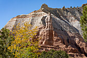Sand pipes or chimney rocks,eroded rock towers in Kodachrome Basin State Park in Utah.