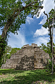 Struktur 1 der Maler-Gruppe oder Plaza der Schatten in den Maya-Ruinen im Yaxha-Nakun-Naranjo-Nationalpark, Guatemala.