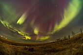 Ein Blick auf die große April-Aurora-Show vom 23. April 2023, mit Blick nach Osten, mit einem Paar auseinanderlaufender Vorhänge mit magentafarbenen Spitzen. Aufgenommen gegen Ende des Schauspiels von zu Hause in Süd-Alberta, Kanada.