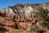 Eine Sandpfeife oder ein Kaminfelsen vom Angel's Palace Trail im Kodachrome Basin State Park in Utah aus gesehen.