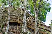 Touristen erklimmen die Treppe zur Spitze der Struktur 216 in den Maya-Ruinen im Yaxha-Nakun-Naranjo-Nationalpark, Guatemala. Die Struktur 216 ist die höchste Pyramide in den Yaxha-Ruinen.