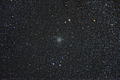 Dies ist der reiche Sternhaufen mit dem Spitznamen Caroline's Rose, oder offiziell NGC 7789, in Kassiopeia. Caroline Herschel, die Schwester von William Herschel, entdeckte ihn im Jahr 1783. Im Okular sehen die Sterne wie ineinander verschachtelte Rosenblätter aus. Subtile Effekte wie dieser gehen bei Fotos von Sternhaufen immer verloren.