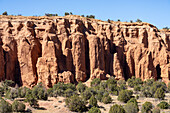 Eroded sandstone formations and pinyon-juniper forest in Kodachrome Basin State Park in Utah.