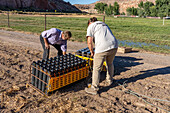 Techniker richten eine Batterie von Abschussvorrichtungen für 4-Zoll-Pyrotechnikgranaten ein, die für eine Feuerwerksshow auf einem Feld in Utah vorbereitet werden.