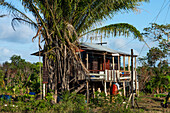 A typical rural house on stilts by the old Great Northern Highway in Belize.