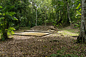 Structures in the West Group or Plaza R,a residential complex in the Mayan ruins in Yaxha-Nakun-Naranjo National Park,Guatemala.