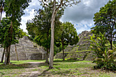Struktur 142 und Struktur 137 in der nördlichen Akropolis in den Maya-Ruinen im Yaxha-Nakun-Naranjo-Nationalpark, Guatemala.