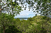 Blick auf den Yaxha-See von der obersten Struktur 117 in den Maya-Ruinen im Yaxha-Nakun-Naranjo-Nationalpark, Guatemala. Dieser hohe, nicht ausgegrabene Hügel ist Teil eines größeren astronomischen Komplexes.