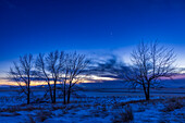 Venus (at top) and Jupiter in a close conjunction on the evening of March 2,2023,the day after their closest approach. They were one degree apart this night but were 1/2° apart the night before. I've framed the scene between some lone trees on a prairie hill near home in southern Alberta.