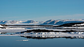Wahlbergoya,Svalbard Inseln,Norwegen.