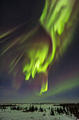 A fine showing of auroral curtains in the northeastern sky,with the Big Dipper and Ursa Major at upper left,with the sky and ground also illumimnated by the light of the waxing crescent Moon. This was February 25,2023 from the observing deck at the Churchill Northern Studies Centre,Churchill,Manitoba.